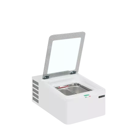 ICE2