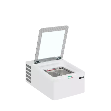 ICE2