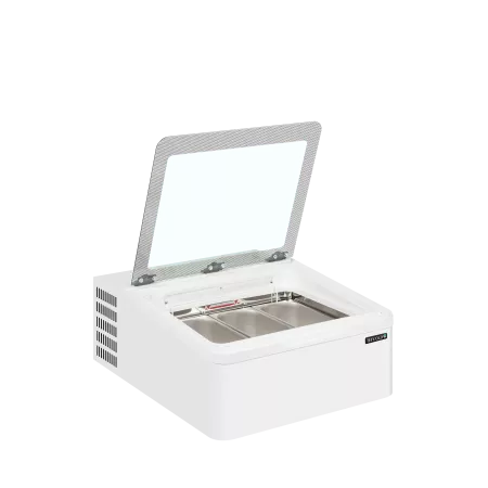 ICE3