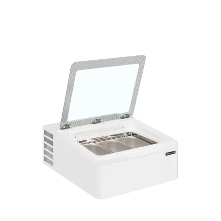ICE3