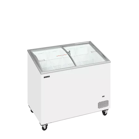 IC301SCEB