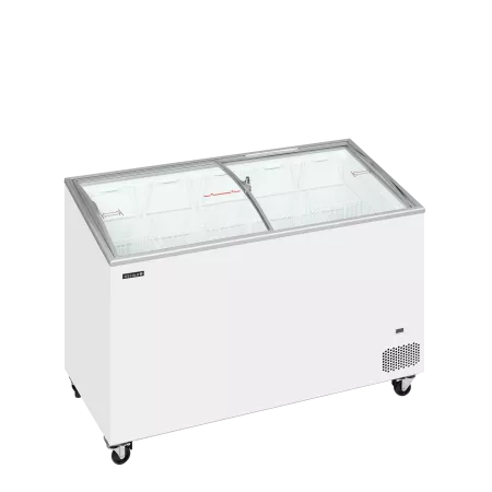 IC401SCEB