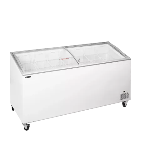 IC551SCEB