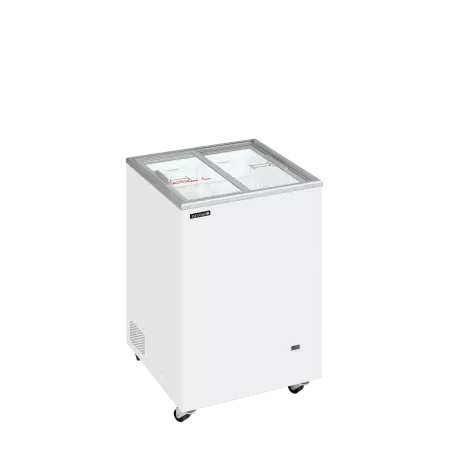 IC101SC