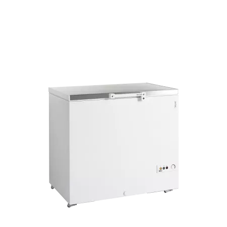 FR305S SL – Congélateurs horizontaux froid négatif – commerce alimentaire – Réf 16170