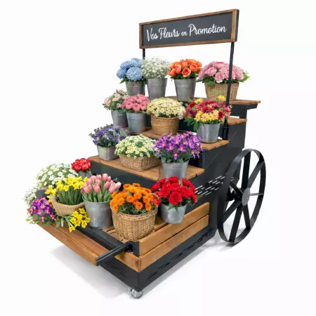 CHARRUES FRUITS LÉGUMES +